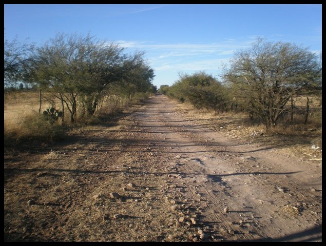 Calles y Colonias